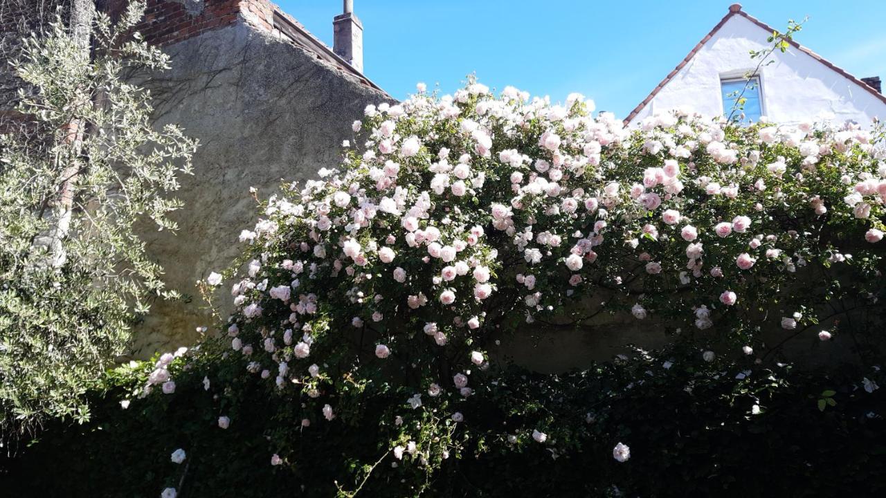 Artuur Bed & Breakfast Brugge
